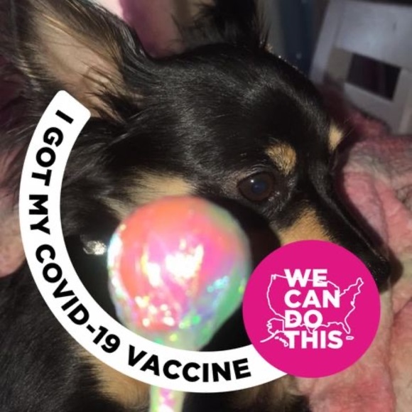 Meet your Posher, Makani - Picture 1 of 1